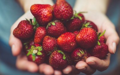 Walch Family Strawberries