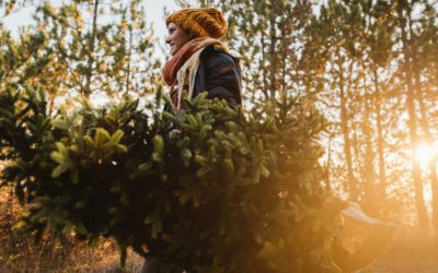 Kroes Christmas Tree Farm