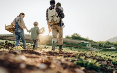 Back to School and Picking Your Own Fruit & Vegetables in Ontario