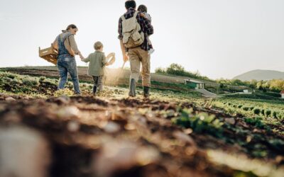 Strawberry Picking in Ontario: A Sweet Summer Tradition That Supports the Future of Farming