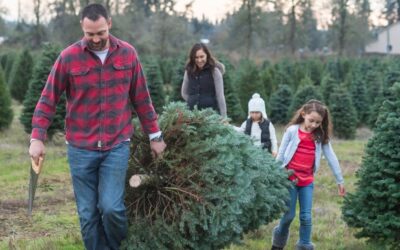 Make This Year’s Holiday Truly Canadian! Pick Your Own Christmas Tree in Ontario
