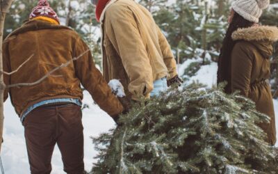The Benefits of Picking Your Own Real Christmas Tree Over Buying a Fake One